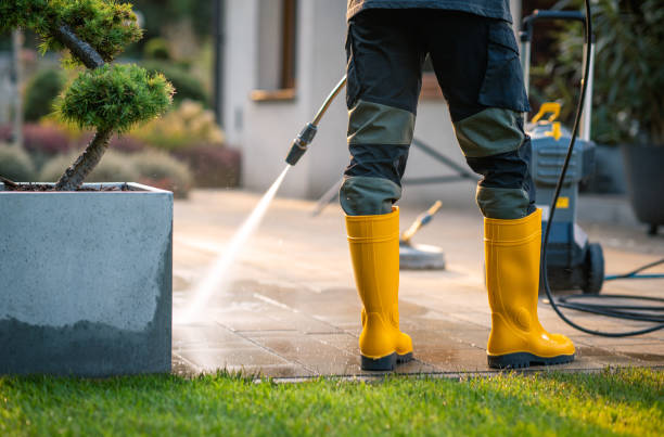 Best Deck Cleaning Services  in Crookston, MN